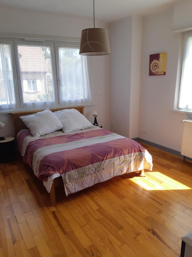 Villa/Appartement Au Coeur Des Vignes *** Barr Ngoại thất bức ảnh